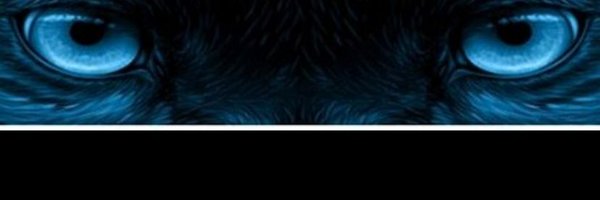 calea_bush Profile Banner