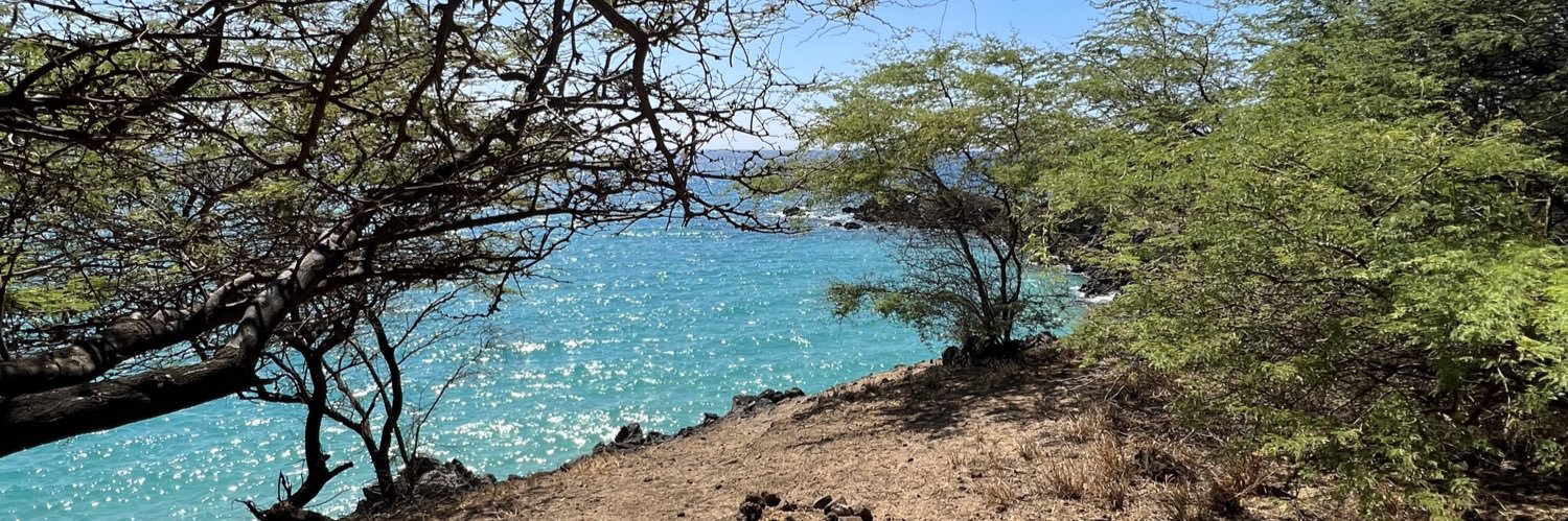 David Lewis Brooks banner