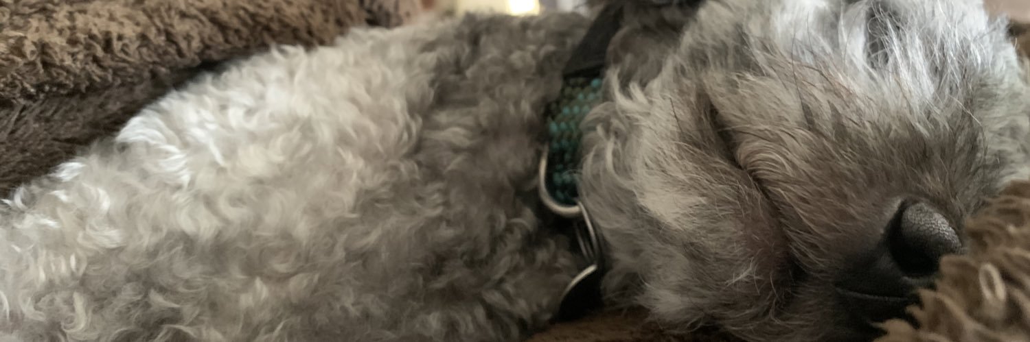 Simon Staszkiewicz banner