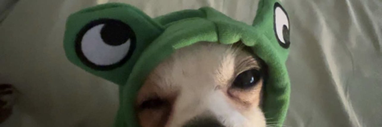 vanejulie11's profile banner image