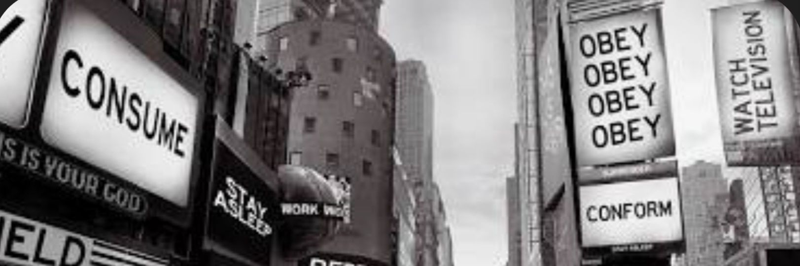 Ryan Creveling's banner