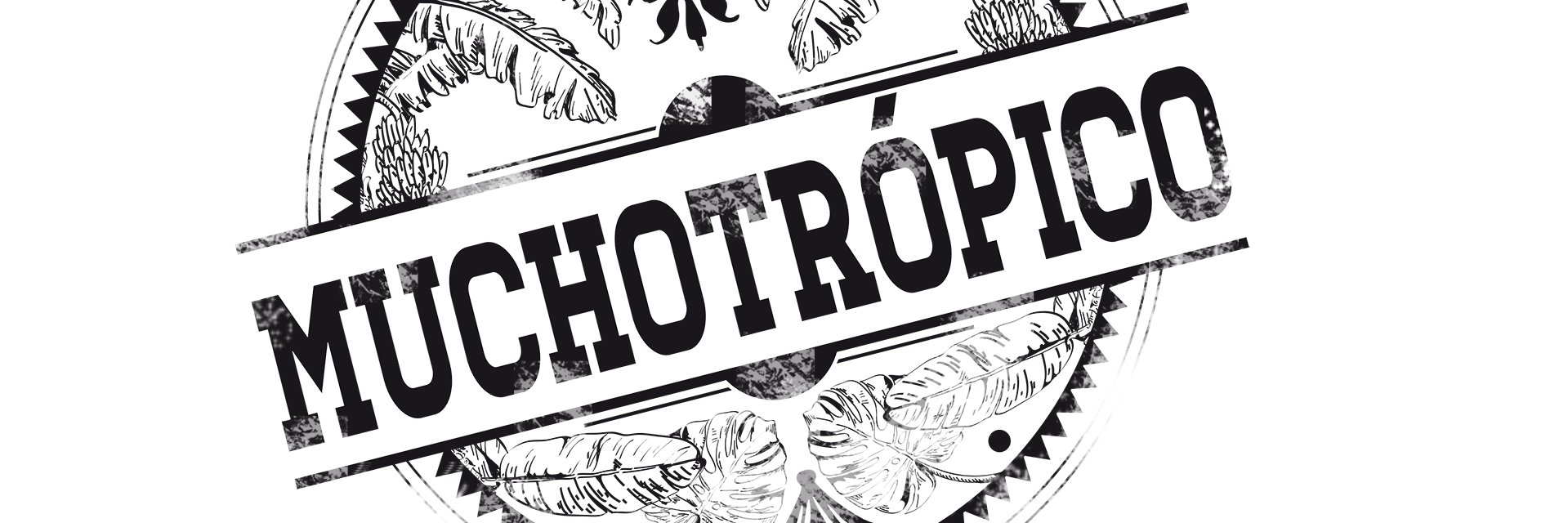 Andrés Carvajal banner