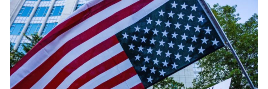 Elyse's banner