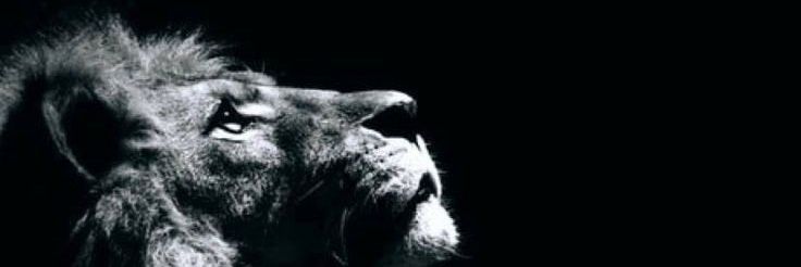 Viviane banner