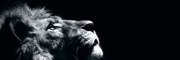 AmbeSparrow Profile Banner