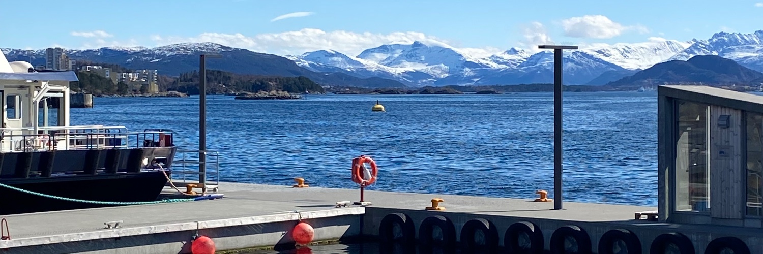 THE MATURING CRUSADER banner