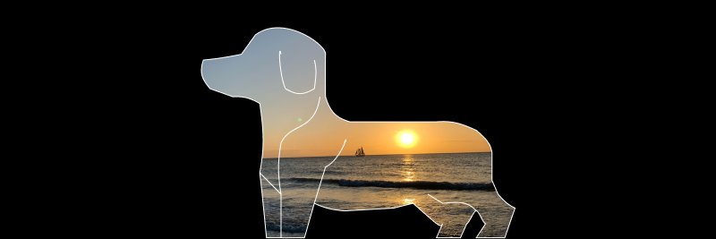 LGNFT1's profile banner image