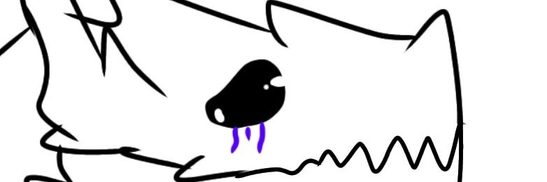 Midnight_Zero2's profile banner image