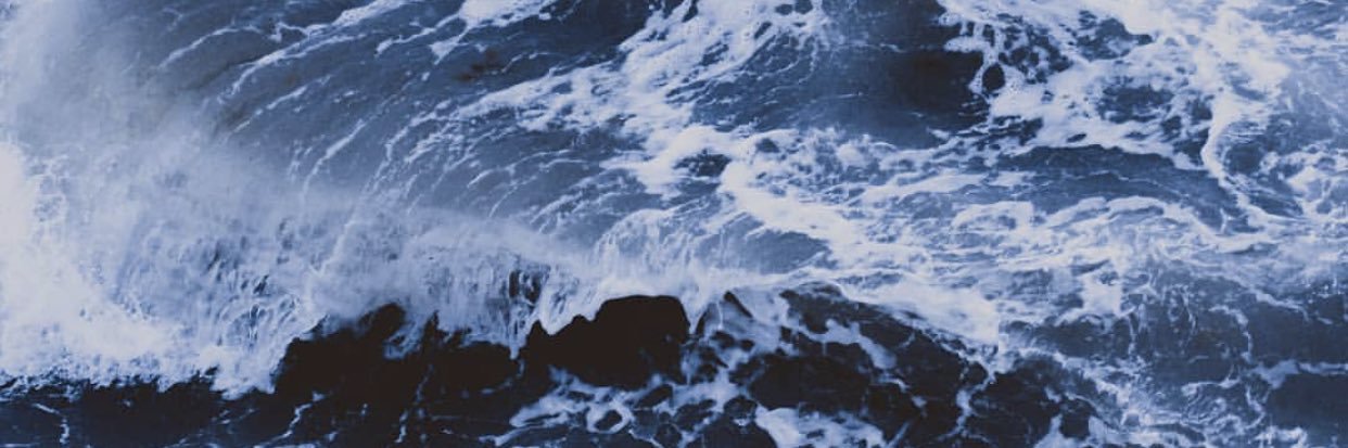 anima_lunae's profile banner image