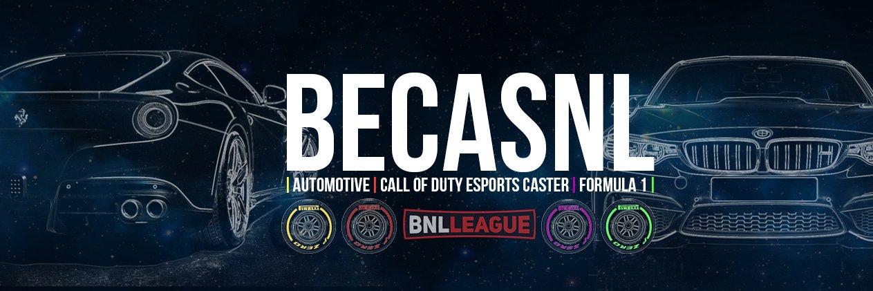 BeCasNL🦁 banner
