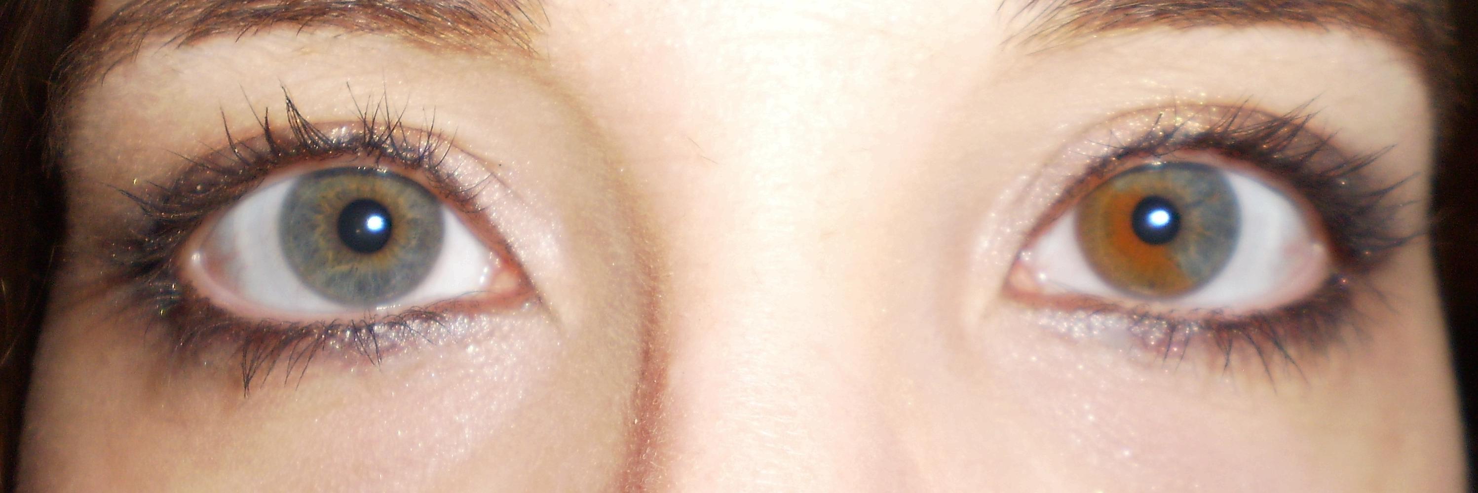 ZeldaPotter 🎀𝓽𝓮𝓷𝓭𝓮𝓻𝓫𝓻𝓪𝓽 🎀 banner