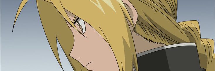 dani banner