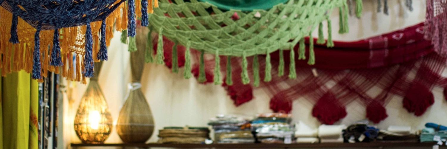 Dani Bertolucci banner