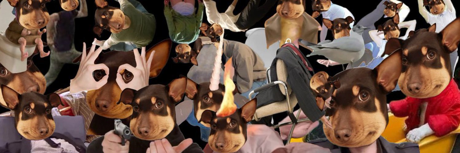 蜜蜂狗 Beedog banner