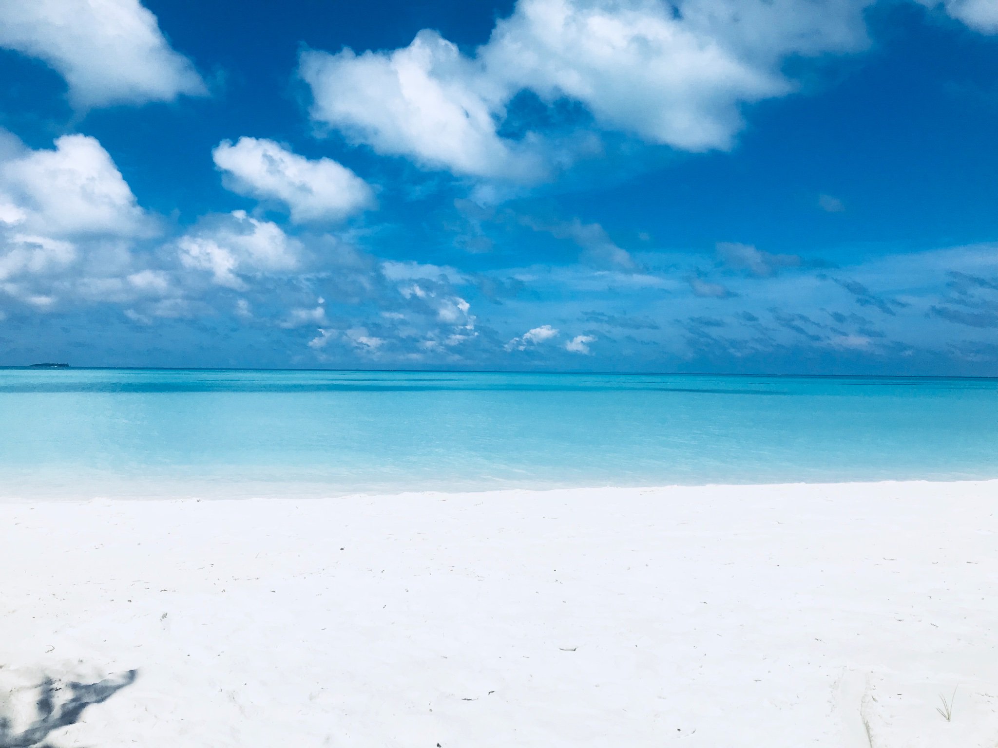 cor_delaney's profile banner image