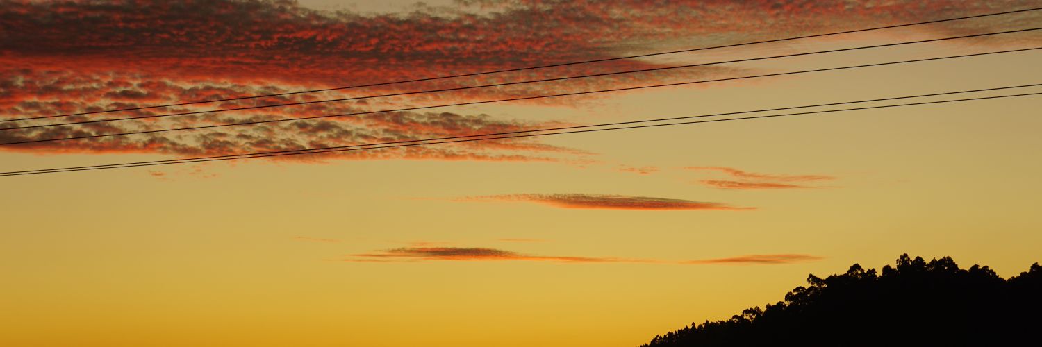 xesus's profile banner image