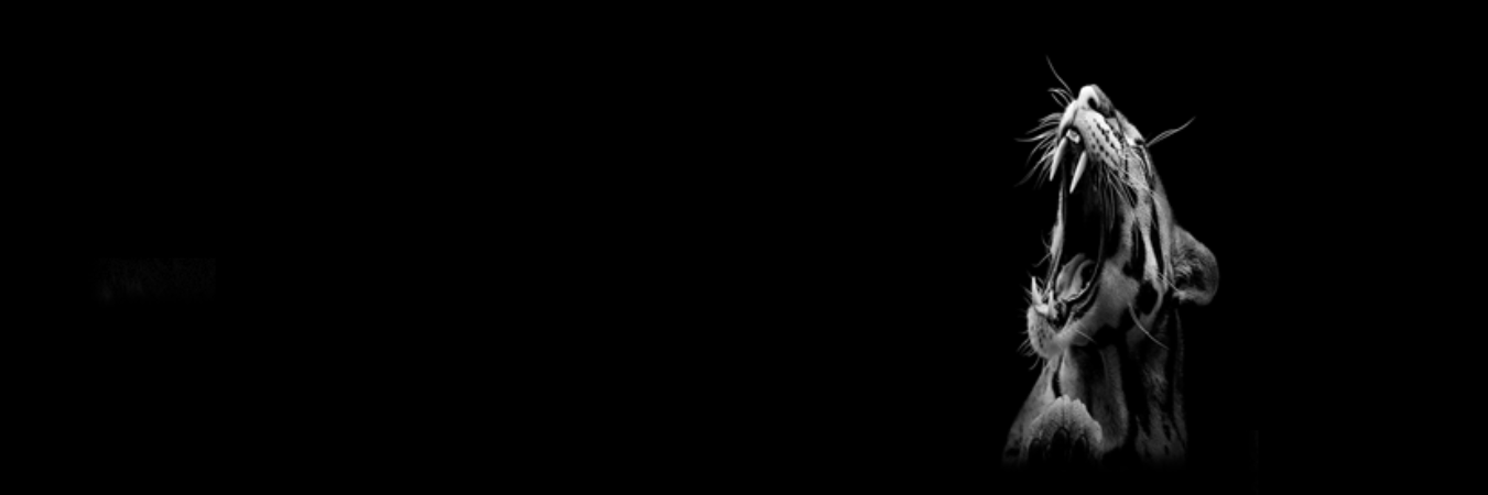 _Camilopg's profile banner image