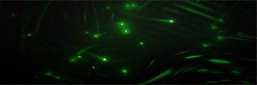 commoncentsftw's profile banner image