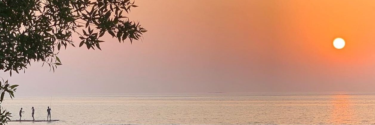 Nora1983's profile banner image