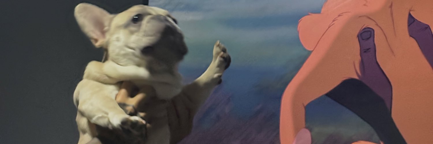 zgataaa's profile banner image
