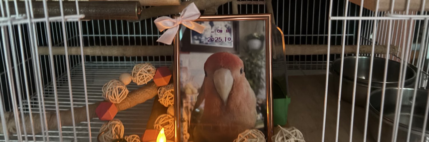 해피는 해피해🧡 banner