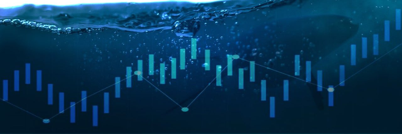 CryptoHumpback.IO banner