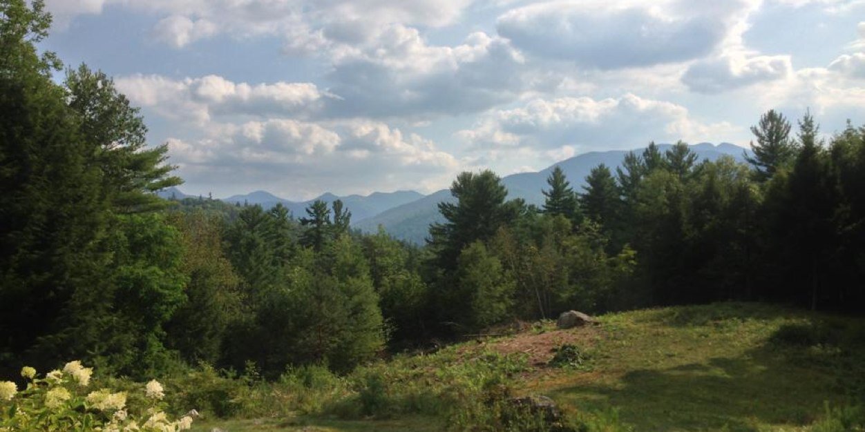 Christopher Schroeder banner