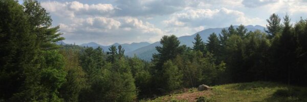 cmschroed Profile Banner