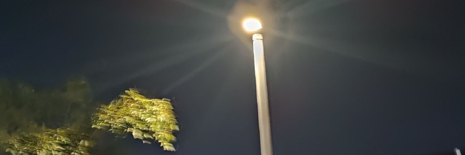 esseonechoice banner