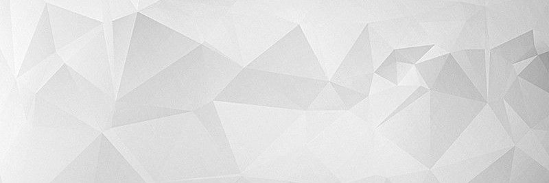 Tamara Ferreira Schmidt banner