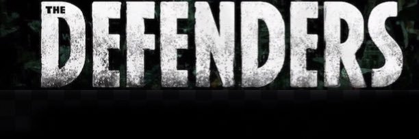 Hebburn Defenders (8-5) banner