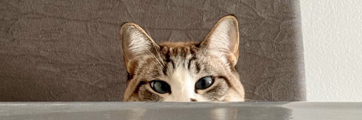 bionico's profile banner image