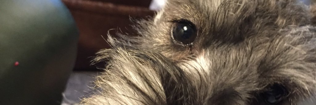 GrumpyOldWife's profile banner image