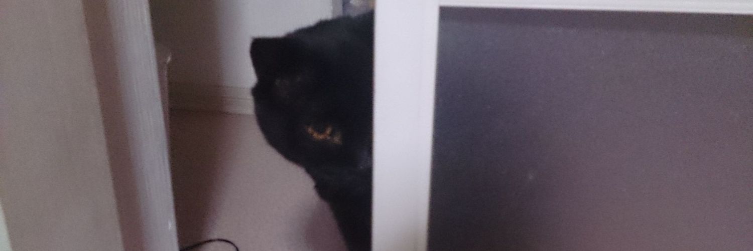 黒猫(永遠のくろぬこ) banner