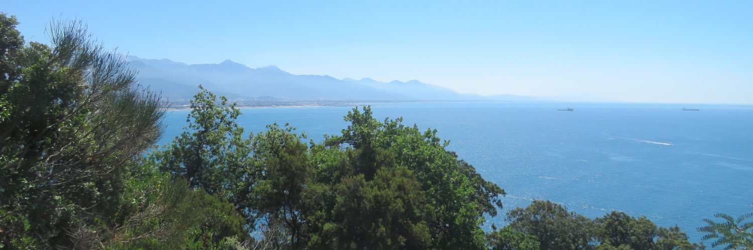 Davide Ornaghi banner