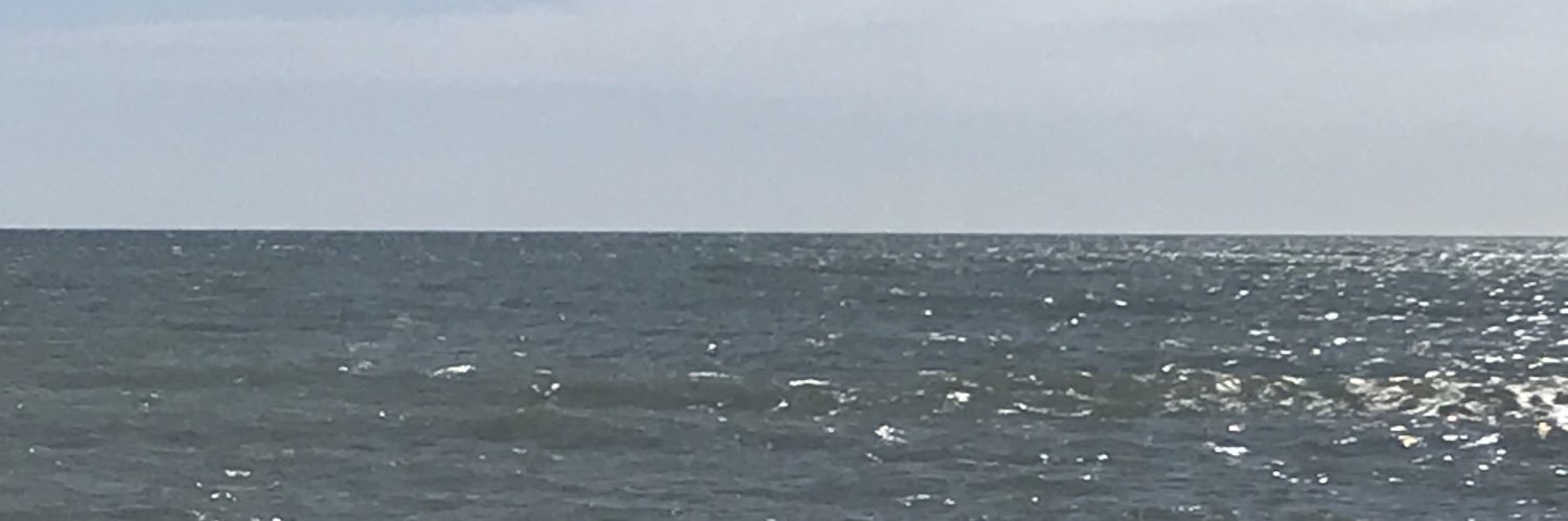 santoro___'s profile banner image