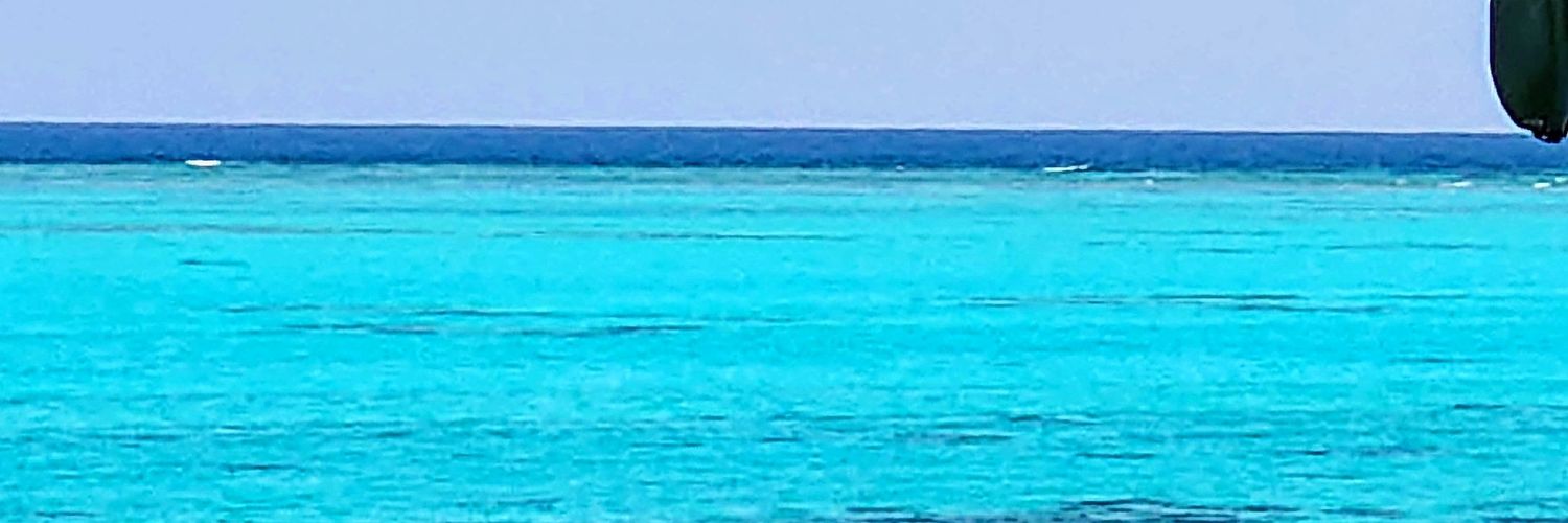 aりんこ banner