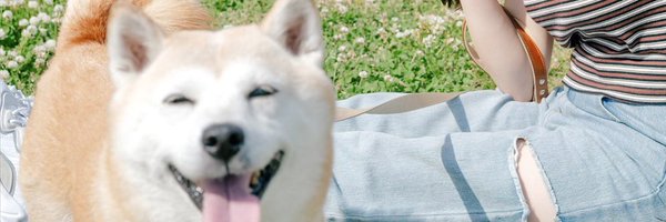 Airi_FESTIVE Profile Banner