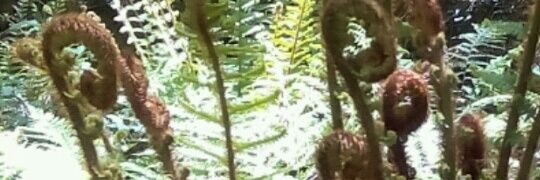 BioscaRosa's profile banner image
