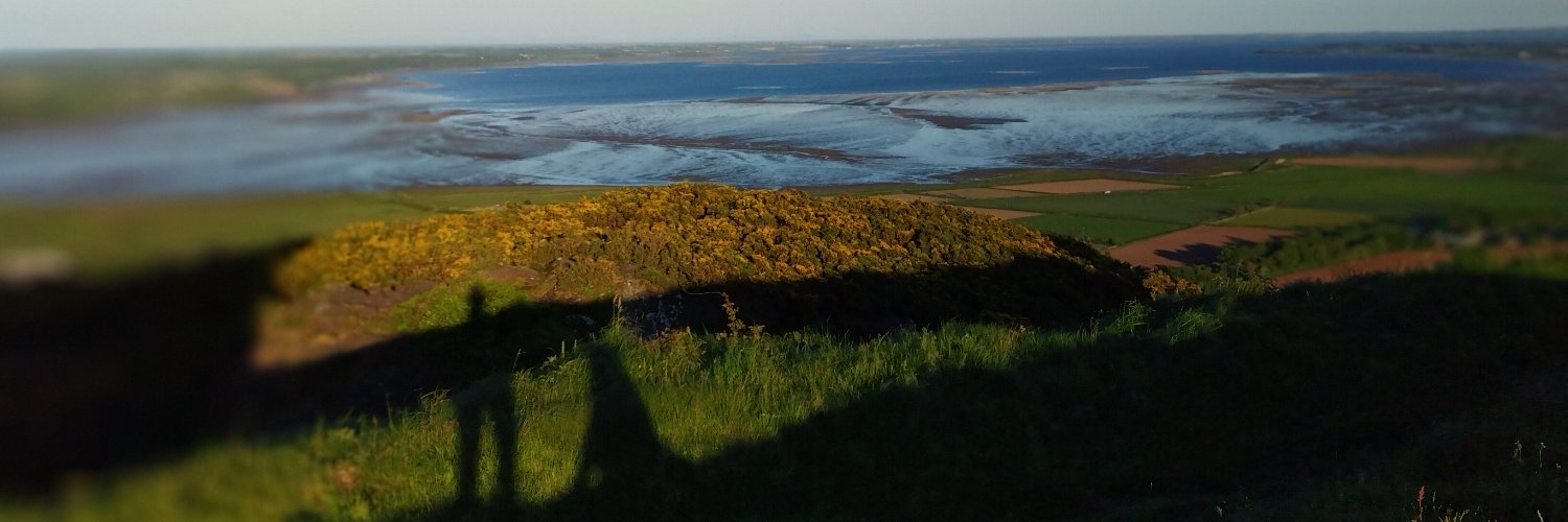 Sandee Bree Breathnach banner