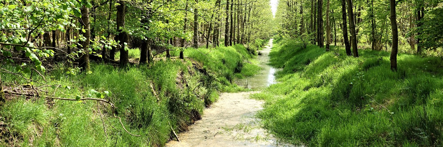 Natuurbegraafplaats Laude banner