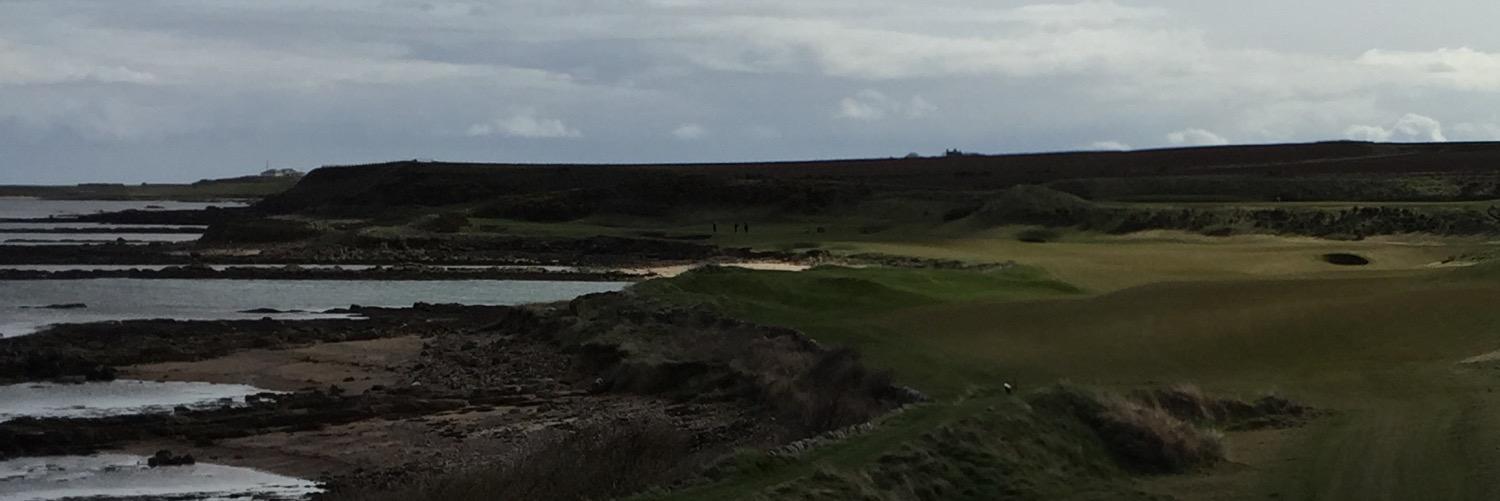 ctierneygolf's profile banner image