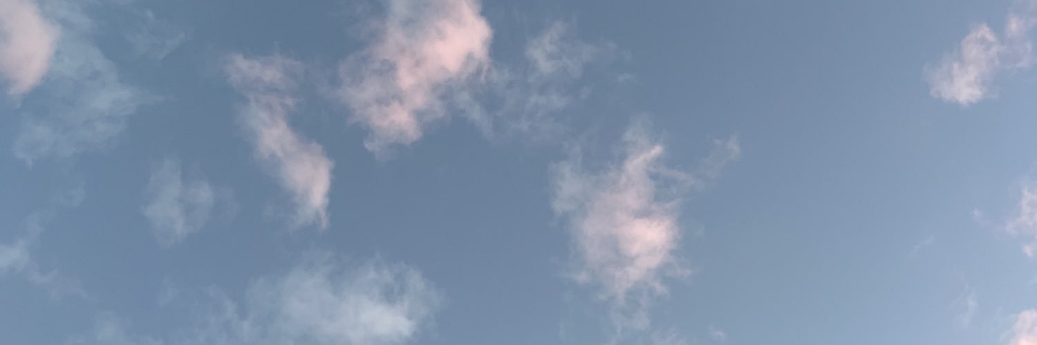 baubabau's profile banner image