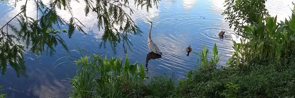 SusanBiszewskiE Profile Banner