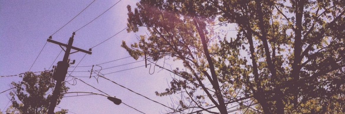 mateo banner