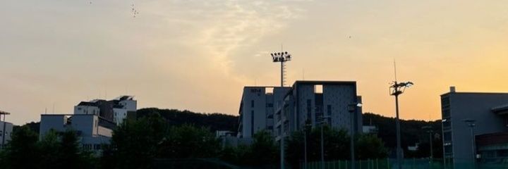 샨 아담 / Think Thank Giraffe banner