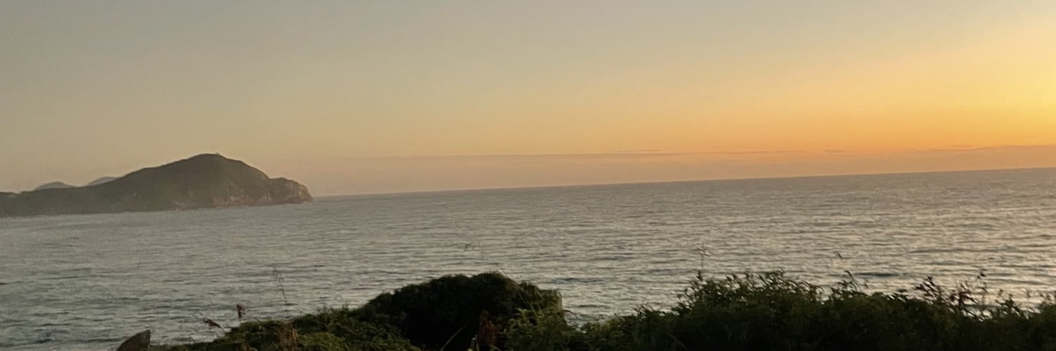 carvalhobetaa's profile banner image