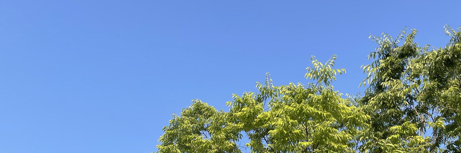 bboi914's profile banner image