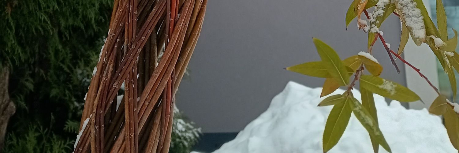 SabinaDominiak's profile banner image