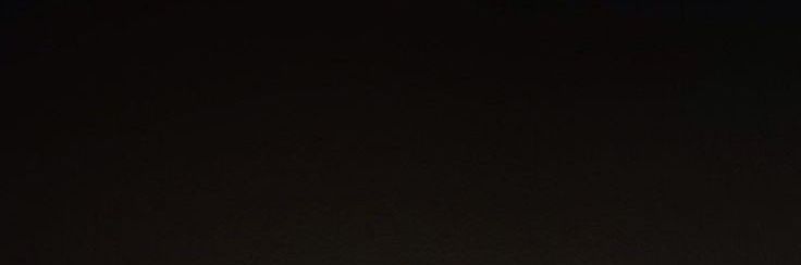 Victoria 🏆🐝🦋 banner